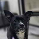 늘봄아로마테라피 이미지