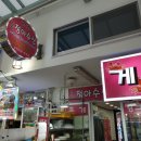 대포항맛집 추천 정아수산 횟집 다녀온 후기! (강원도 애견동반 식당)