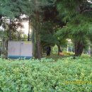 백송주유소 이미지