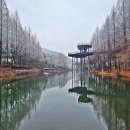 미동산수목원 Daum카페