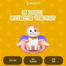 인동동물병원 이미지