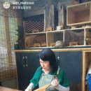 숲과함께협동조합 이미지