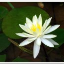 풍경-04 이미지