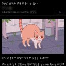 갤러리수락 | 즛토마요 내한 / ZUTOMAYO INTENSE II「坐・ZOMBIE CRAB LABO」 후기