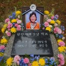 내동생상남 세상을하직하고ㅡ 이미지