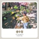 캠핑 유유자적 | 대구 가창 생수정 닭숯불구이 맛집 이국적인 분위기의 숲속 힐링 식당 (애견동반가능)
