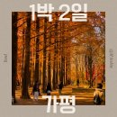 마운틴솔루션 | 코스로 가볼만한 곳 추천ㅣ남이섬, 아침고요수목원, 제이드가든, 오버더마운틴,더플래츠카페, 드림닭갈비