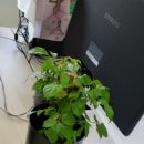 (주)풀과나무 이미지