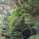 영등제2공원 이미지