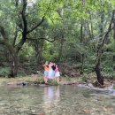 주목나무집 이미지