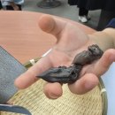 생태숲학습관 2층 이미지