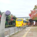 표선초등학교 병설유치원 이미지