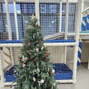 누리아이전자 | 고산동 키즈카페, 키즈누리본점. 아이들은 뛰어놀고 어른들은 술한잔