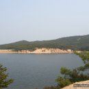 무릉도원 Daum카페