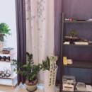 리즈스킨케어 이미지