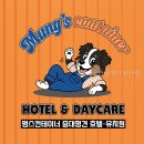 멍스 컨테이너 | 멍스컨테이너 일산점 중대형견 기준부터 볼 핵심 정보