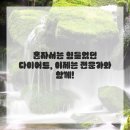 승리한의원 이미지