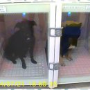 더 빛나개 이미지