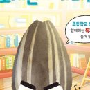 소곤소곤도서관 이미지