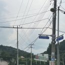 동화힐링캠프 | [파주] 개인 수영장이 있는 카라반 애견 동반 가능 동화힐링캠프 파주 여행 파주 가볼 만한 곳 내돈내산