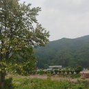 양평외갓집펜션 네이버블로그