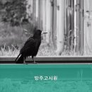 방주고시원