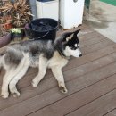 보성88마트 이미지