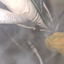 중앙시장길 이미지