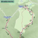 26년1월26일 신비롭고 새하얀 눈꽃세상…발왕산 천년주목숲길 이미지