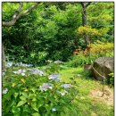 오가네하우스 | 곤지암펜션 독채숙소 추천하는 그린하우스펜션