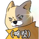 나무와지업사 이미지