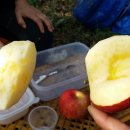 수희농장 이미지