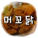 머꼬닭