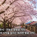 구례5일시장내 가단지(기물전) | 🌸 2026 전국 벚꽃 명소 BEST 20 끝판왕 가이드 (개화시기/주차/숙박/꿀팁)