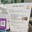 미니신일번지디자인