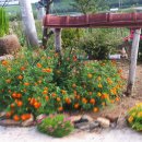 성현1농장 이미지