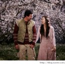 너는 내운명 이미지