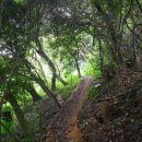 [산따라·물따라] 제52차 정기트레킹 공지(2019년 9월 01일) 전남 고흥 애도(쑥섬) 트레킹.. 이미지