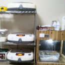 중대농장2 이미지