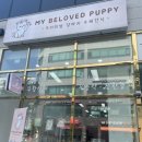 마이 비러브드 퍼피 이미지