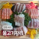 물고기자리 | 인천 검단신도시 아라역 횟집 물고기자리 모둠숙성회단품 후기