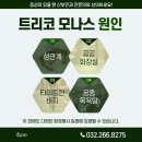 이음산부인과의원 네이버블로그