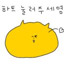 늘봄정육