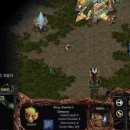 스타크레프트 이미지