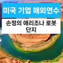 (주)뉴덕흥기업 | 미국 기업 해외연수, 애리조나 프로젝트 크리스털 랜드 AI 제조 허브 로봇단지 그랜드캐년
