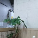 백두산숯불갈비&냉면 | 대구율하고기집<백두산숯불갈비&amp;냉면> 방문후기