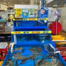 엘지전자(주) 속초서비스센터 | 속초 청호활어회센터 주원수산 2인 세트 내돈내산