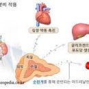 디오엠 이미지