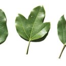 미성도료 이미지