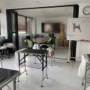 고려 애견 미용실 이미지